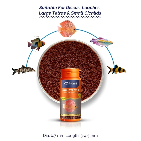 Intan Faux Worms โ High-Protein Slow Sinking Fish Food for Discus, Loaches, Tetras & Cichlids - 180 G