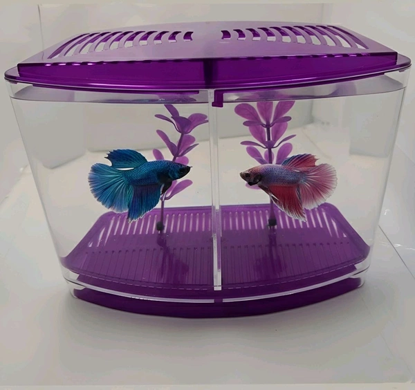 Taiyo Double House Betta/Fighter Fish Tank|Acrylic|With LED Light - Purple, 1.5 Litre