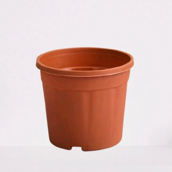 Nursery Pot 10" Teracota