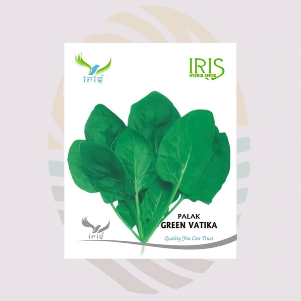 Palak Seeds (पालक के बीज)