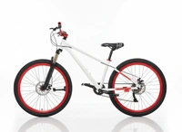 Custom Build mtb stunt cycle White and red combination with Alloy-steel body