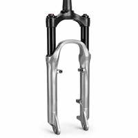 Suspension