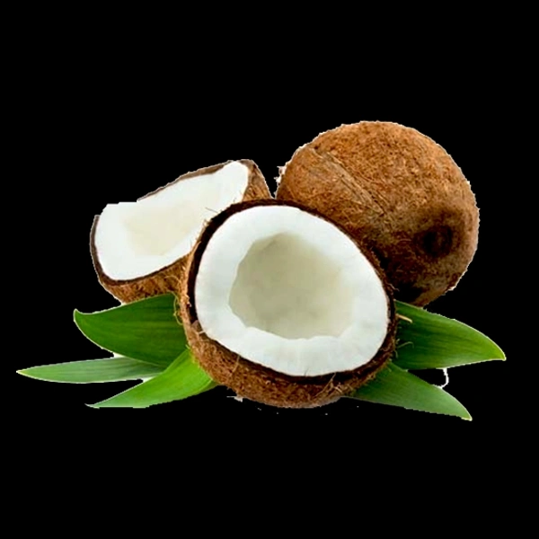  Coconut Nariyal नारियल 