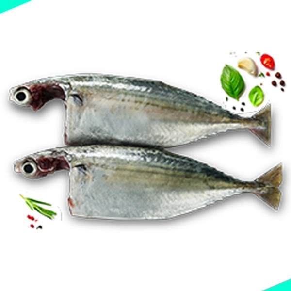 കണ്ണൻ കൊഴിയാള | Finletted Mackeral | Kozhiyala  [Cleaned] - 500g
