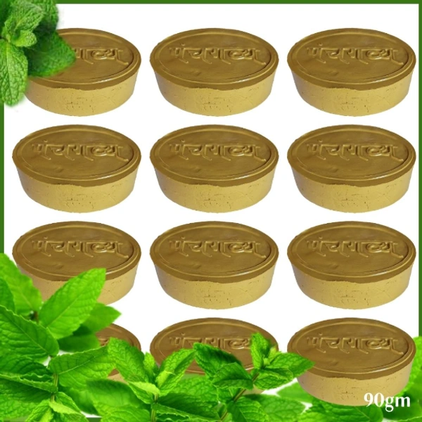Panchgavya Sabun | 100% Natural & Chemical Free (पंचगव्य पुदीना साबुन)