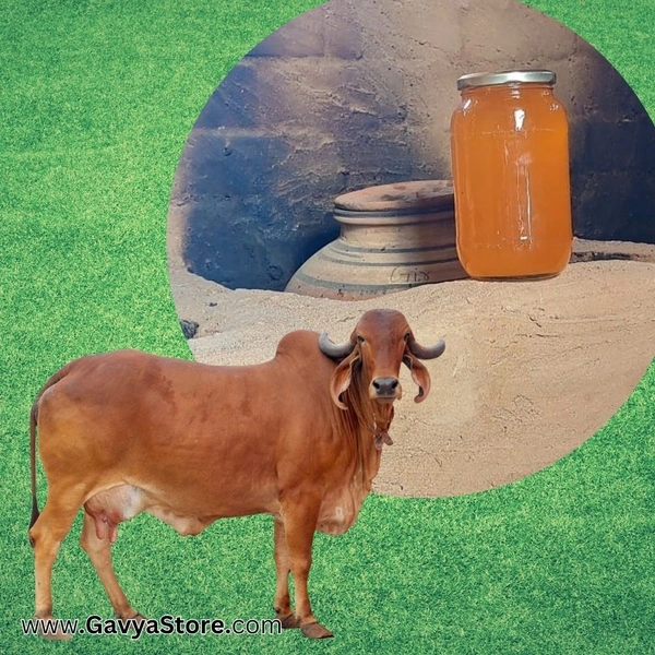 Gir Gomata Vedic Bilona Ghee | Traditional Method (गिर गौमाता का वैदिक बिलोना घी)