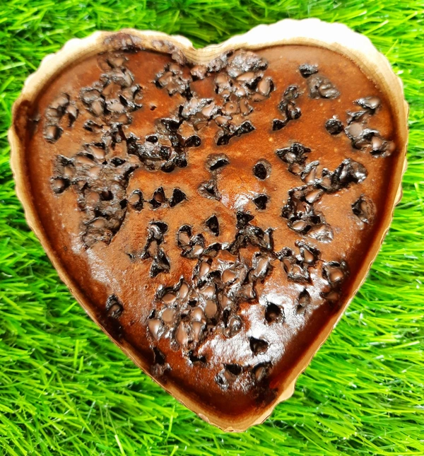 Choco Chips Cake - 300 Gms
