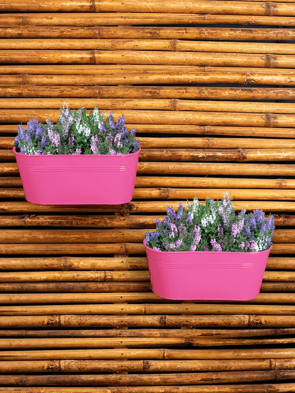 Set of Two 12'' Oval Railing Planter Pink